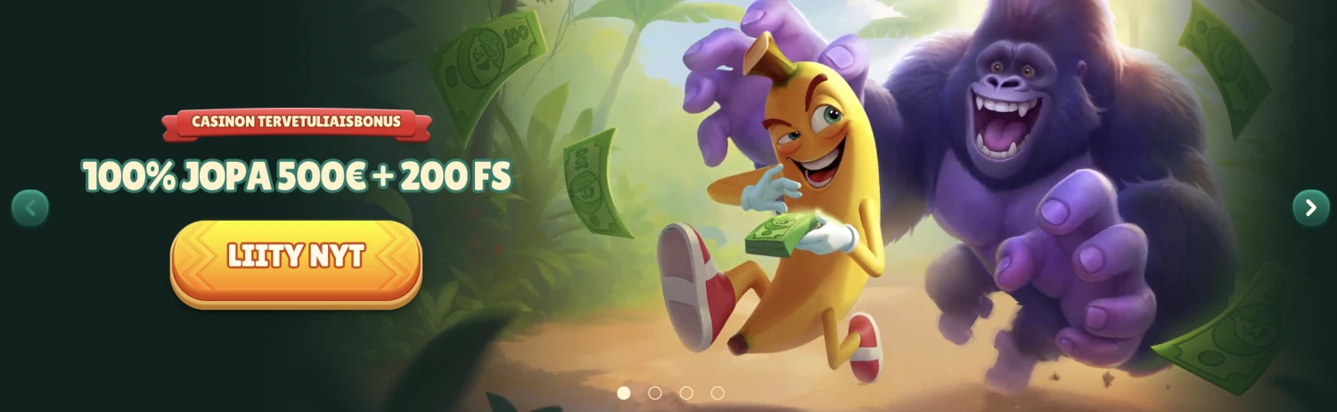 Promotional Banner